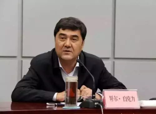 局长努尔·白克力被查后 国家能源局表态了